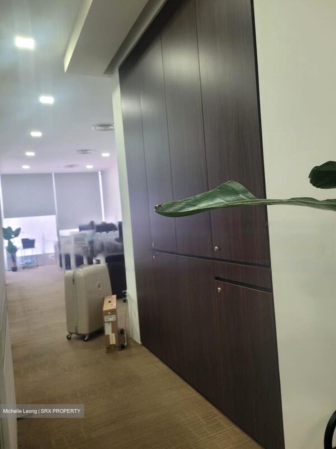 The Central (D1), Office #456952231